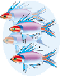 fishmultiply, Illustrator 9.2   9 x 11 2003